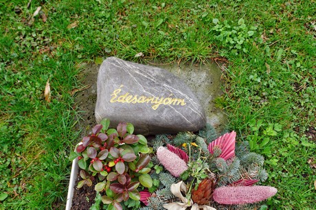 melaten