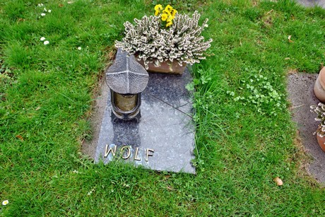 melaten