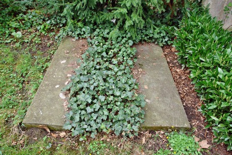 melaten