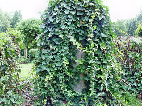 melaten