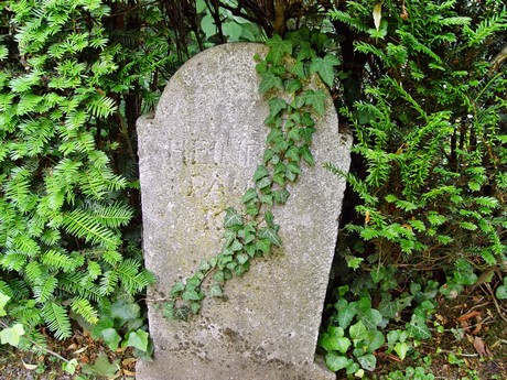 melaten