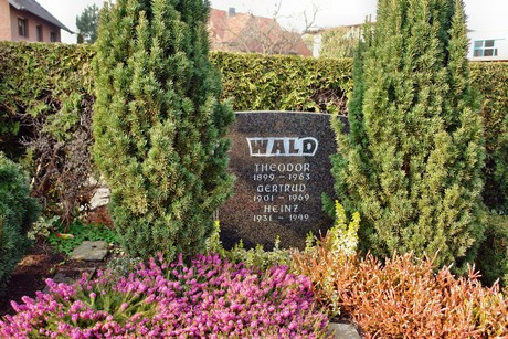 friedhof