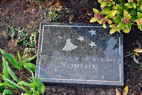 friedhof