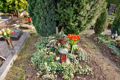 friedhof