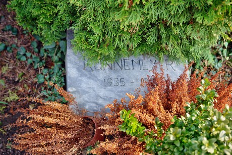 friedhof
