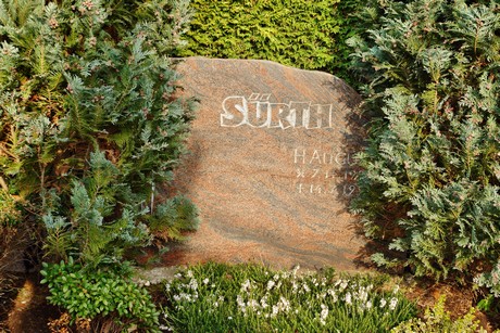 friedhof