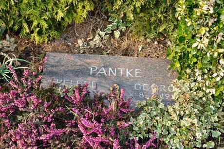 friedhof