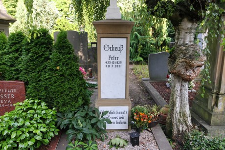 friedhof