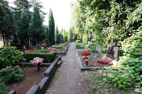 friedhof