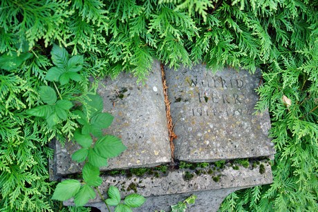 friedhof-muengersdorf
