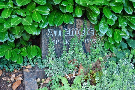 friedhof-muengersdorf