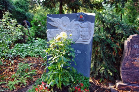 friedhof-muengersdorf