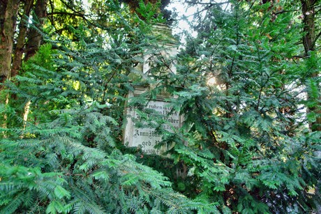 friedhof-muengersdorf