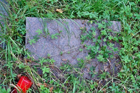 friedhof-muengersdorf
