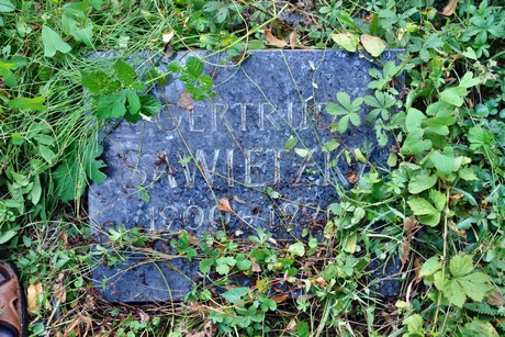 friedhof-muengersdorf
