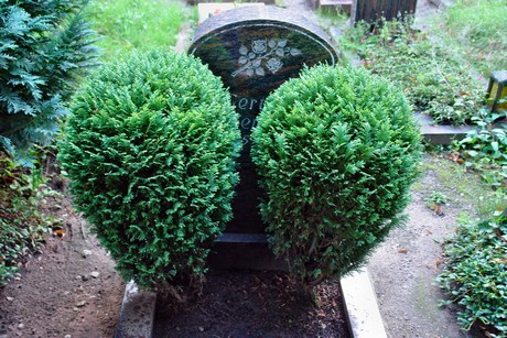 friedhof-muengersdorf
