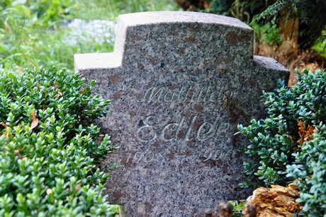 friedhof-muengersdorf