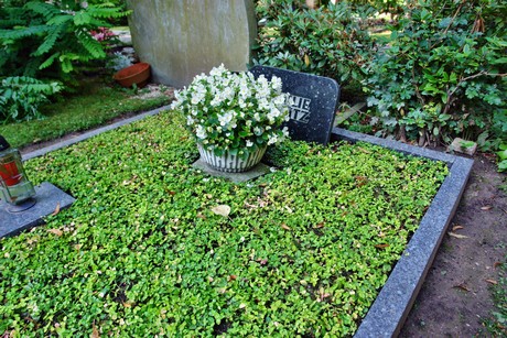 friedhof-muengersdorf