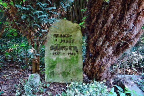 friedhof-muengersdorf