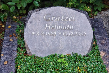 friedhof-muengersdorf