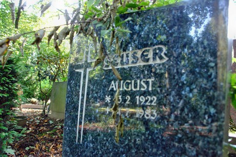 friedhof-muengersdorf