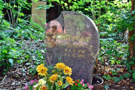 friedhof-muengersdorf