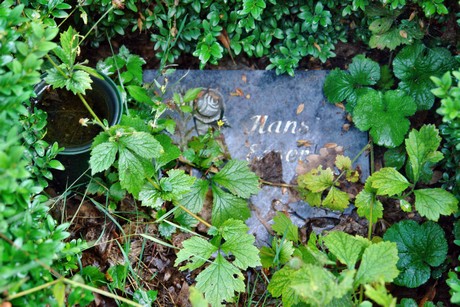 friedhof-muengersdorf
