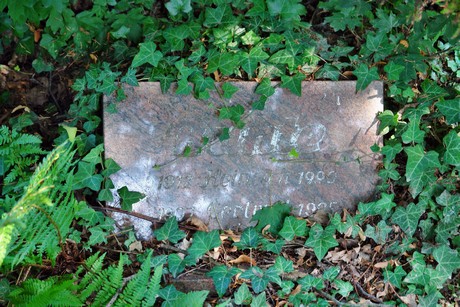 friedhof-muengersdorf