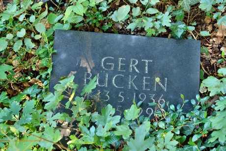 friedhof-muengersdorf