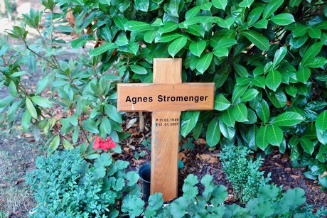 friedhof-muengersdorf