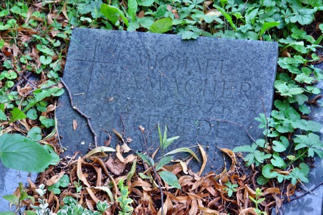 friedhof-muengersdorf