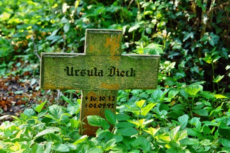friedhof-muengersdorf