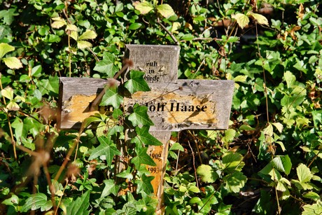friedhof-muengersdorf