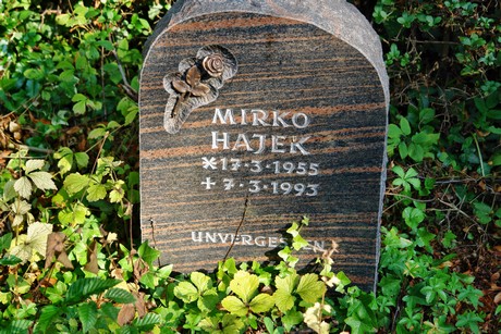 friedhof-muengersdorf