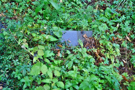 friedhof-muengersdorf