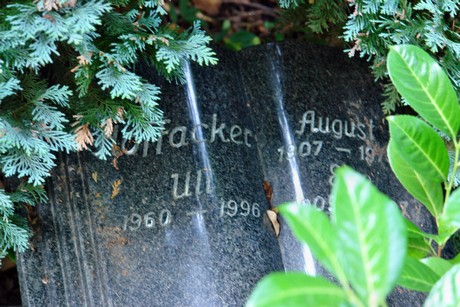 friedhof-muengersdorf