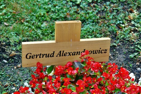 friedhof-muengersdorf