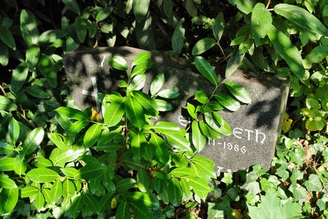 friedhof-muengersdorf