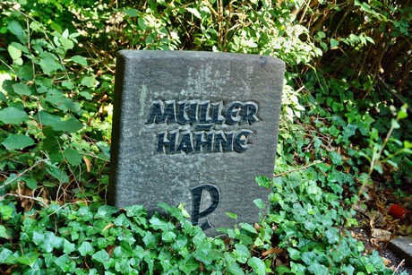 friedhof-muengersdorf