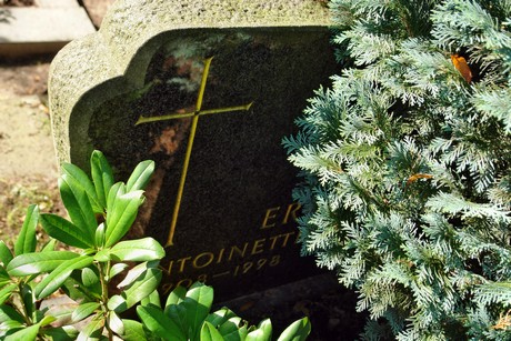 friedhof-muengersdorf