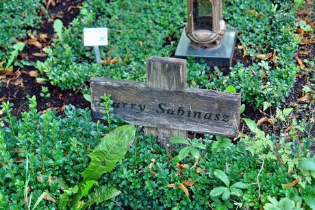 friedhof-muengersdorf