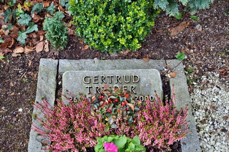 friedhof