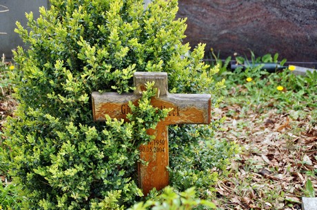 friedhof