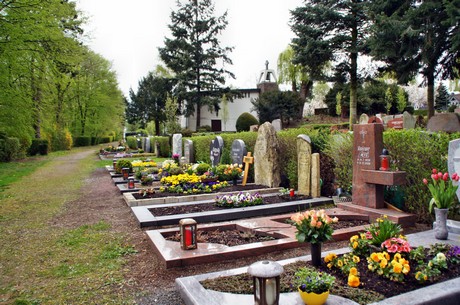friedhof