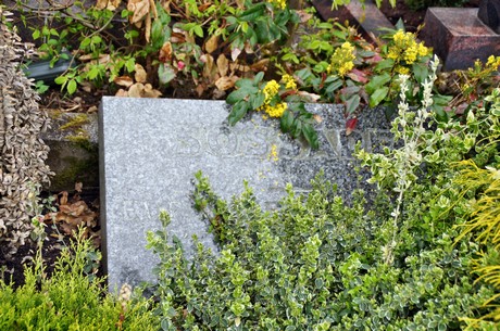 friedhof