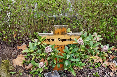friedhof
