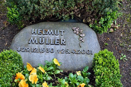 friedhof