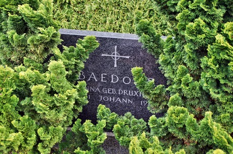 friedhof