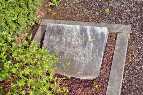 friedhof