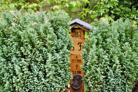friedhof
